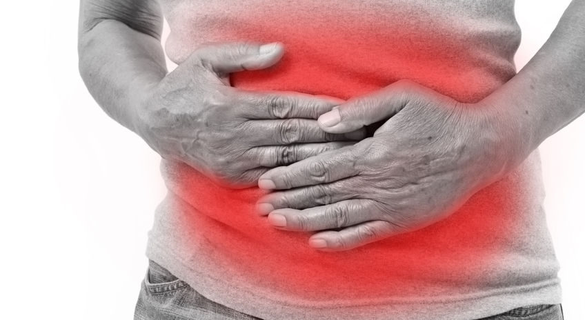 Der Magen – das Organ im Zentrum der Verdauung